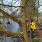 Začátek "koronadnin"